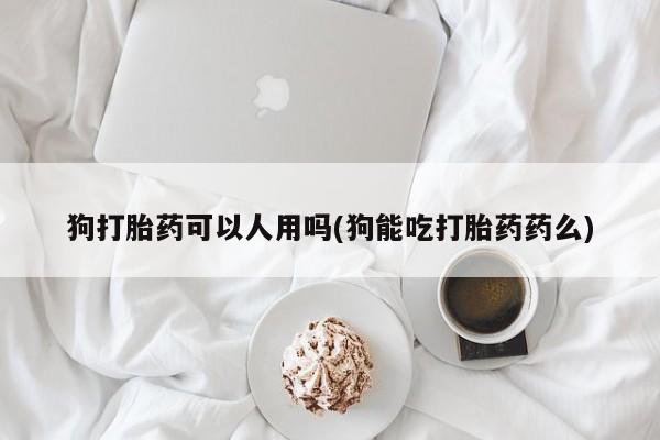 私人店有打胎药吗狗打胎药可以人用吗(狗能吃打胎药药么)